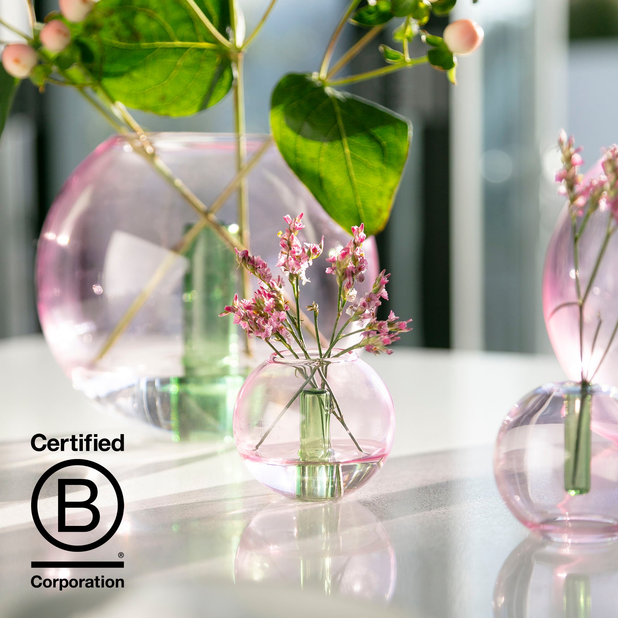 Celebrating B Corp Month