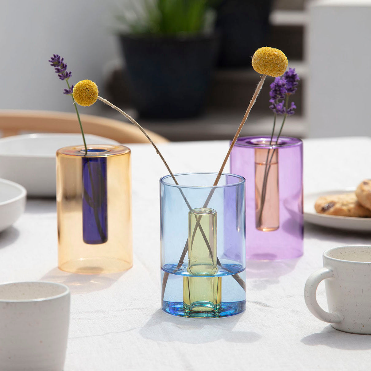 small glass coloured vases with reversible use for flowers