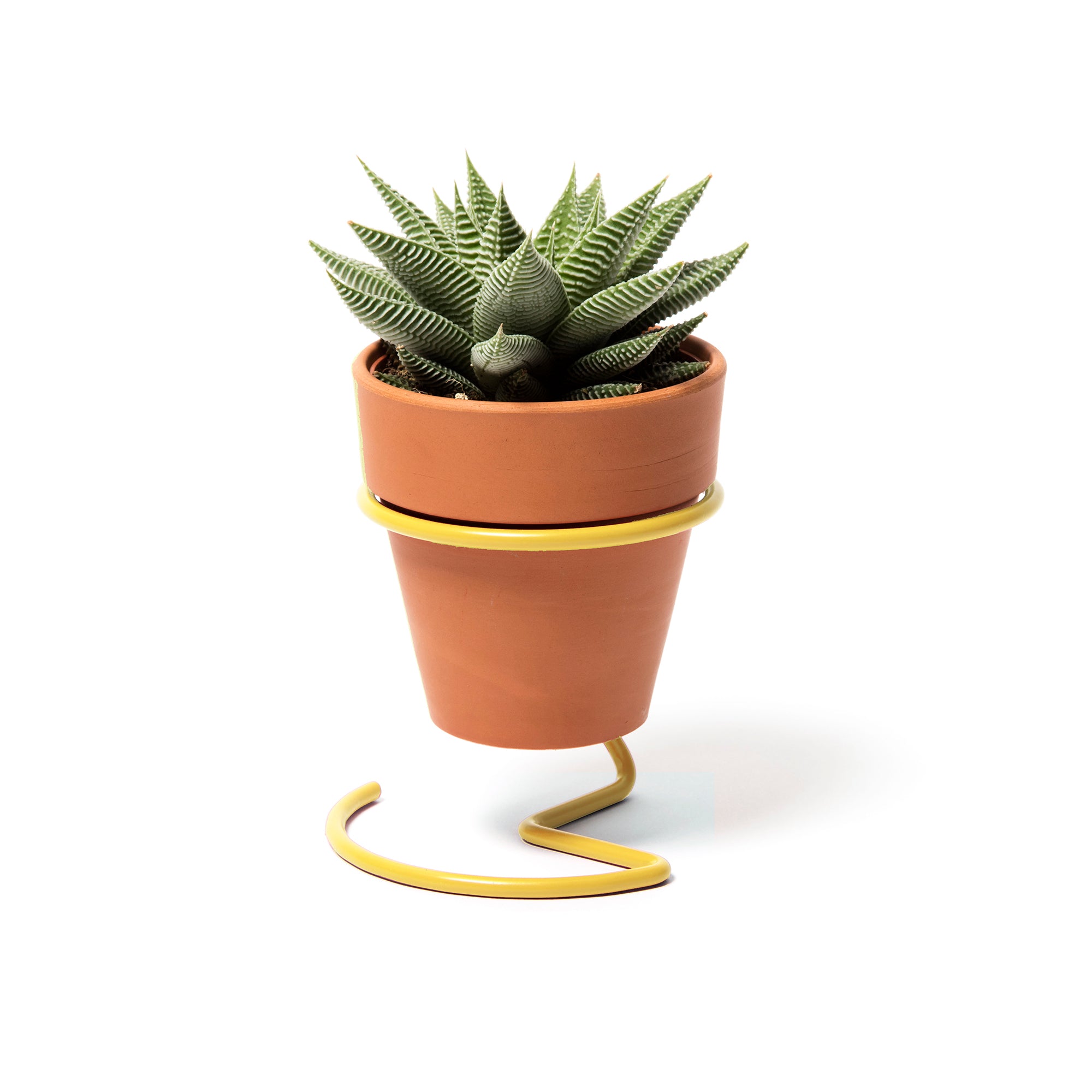 Wire Plant Pot