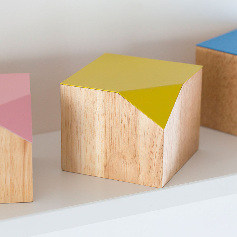 Cut-Away Storage Box