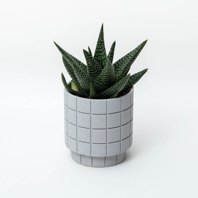 Tile Plant Pot