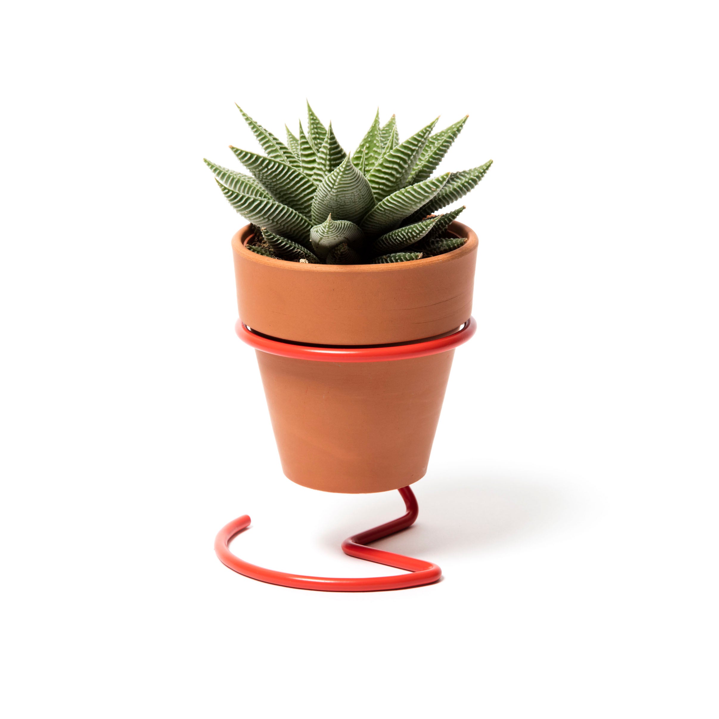 Wire Plant Pot