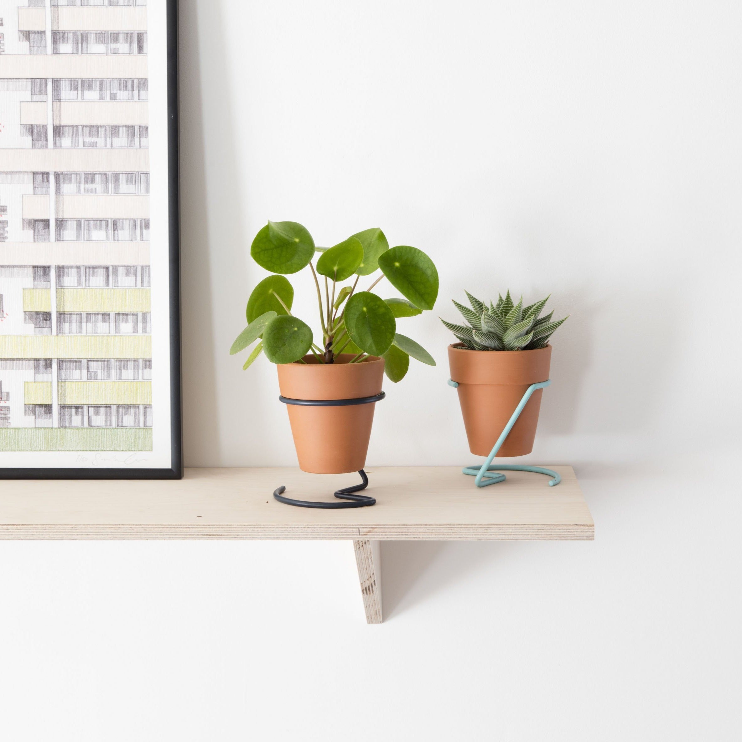 Wire Plant Pot