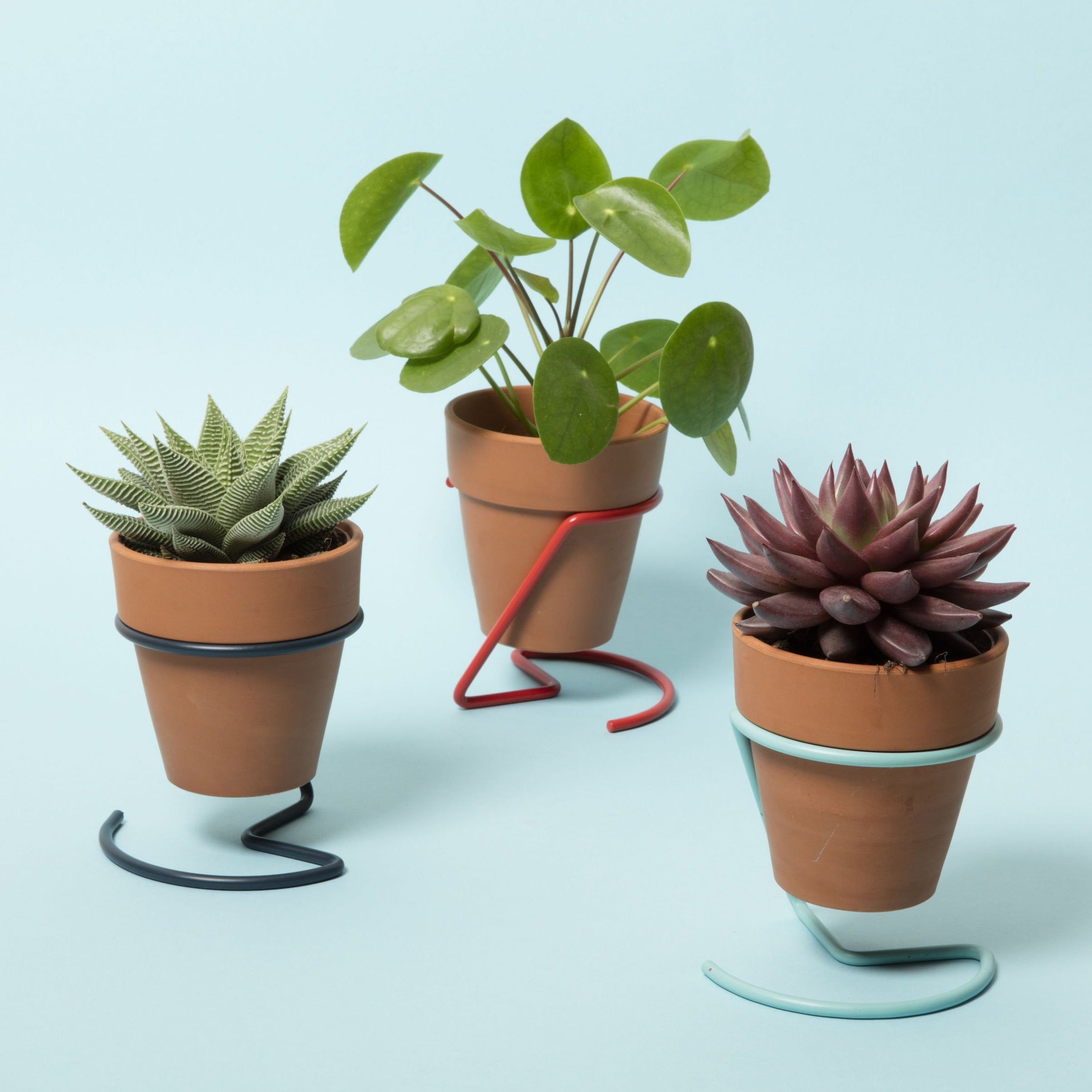 Wire Plant Pot