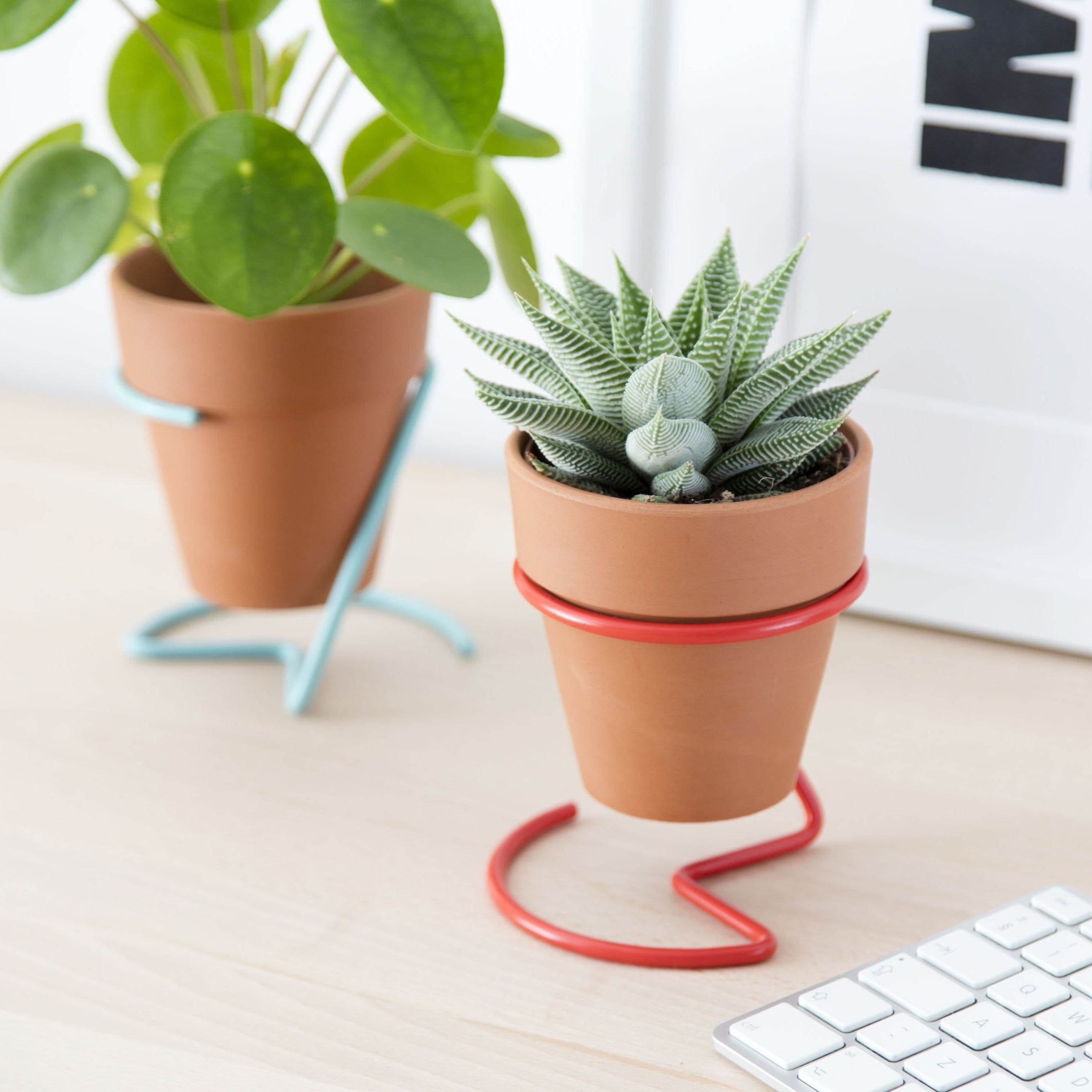 Wire Plant Pot