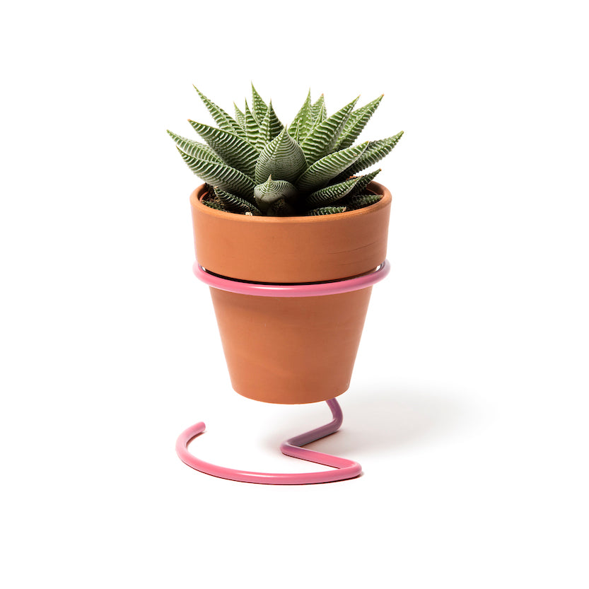 Wire Plant Pot