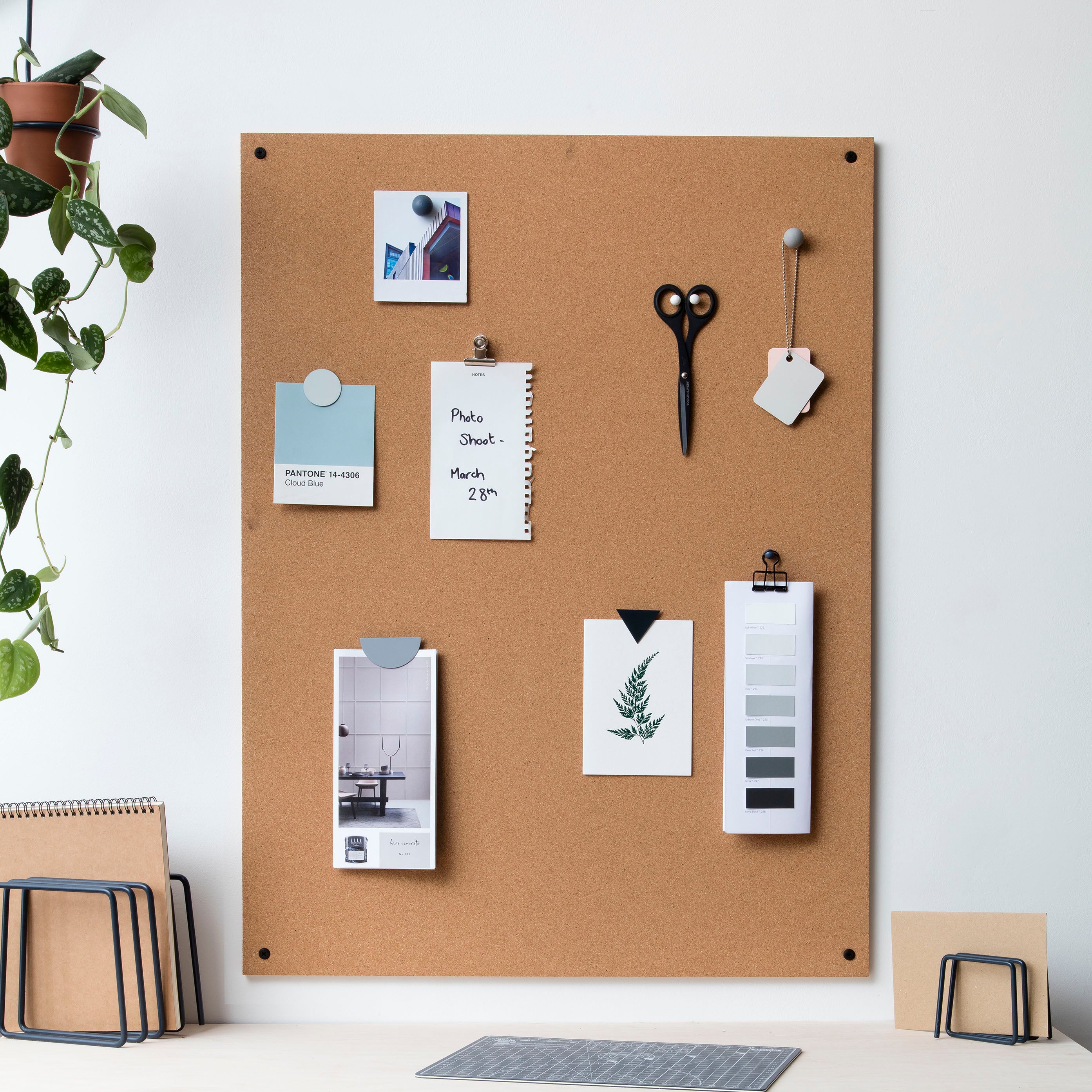 Wooden Ball Cork Board Pins